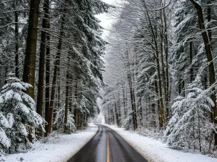Ожидается снег, местами сильный, днем с мокрым снегом и дождем!